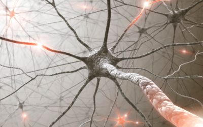 LONG COVID: quando il sistema nervoso continua a soffrire